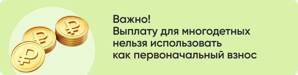 Важно! Выплату для многодетных нельзя использовать.jpg Важно! Выплату для многодетных нельзя использовать.jpg
